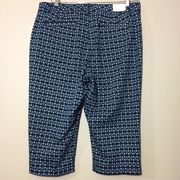 NWT GLoria Vanderbilt kayaking UnlTd Anita Capri size 16 - Picture 2 of 8